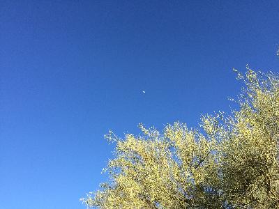 ツーソンの空